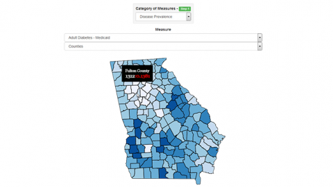 map of georgia counties